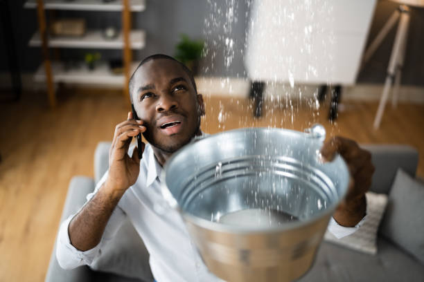 Best 24/7 water damage repair  in Dauphin, PA