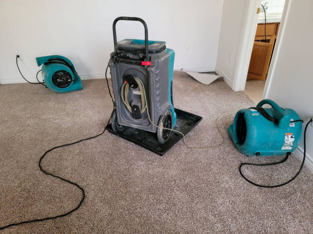 Best Water damage restoration process  in Dauphin, PA