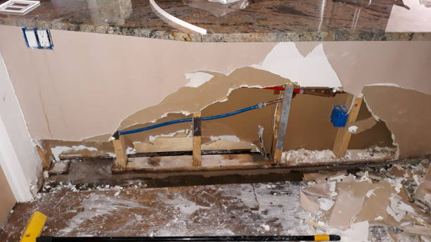 Best Basement water damage restoration  in Dauphin, PA
