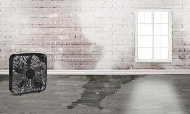 Best Water damage restoration near me  in Dauphin, PA