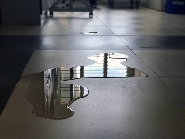 Best Water damage restoration near me  in Dauphin, PA