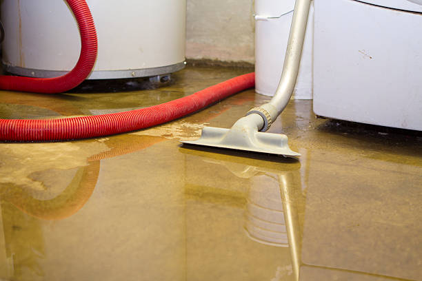 Best Carpet water damage restoration  in Dauphin, PA
