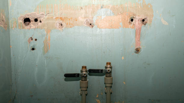 Best Fire Damage Restoration  in Dauphin, PA