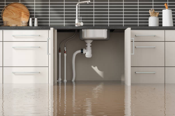 Best Flood restoration services  in Dauphin, PA