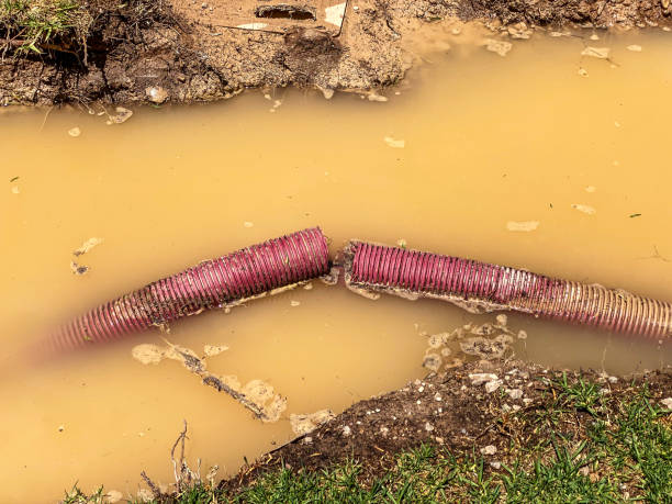 Best Residential water damage restoration  in Dauphin, PA