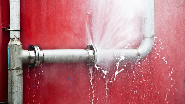 Best Water damage cleanup near me  in Dauphin, PA